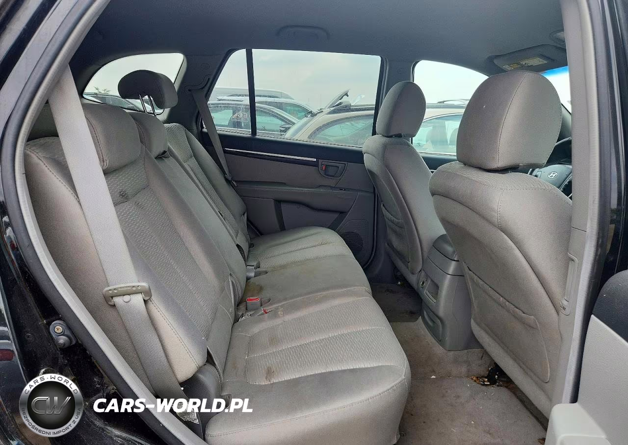 2007 Hyundai Santa Fe Gls VIN:5NMSG73D97H049932 - 10