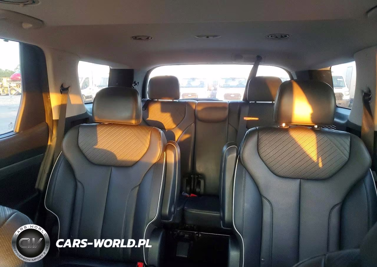 2024 Hyundai Palisade Xrt VIN:KM8R34GE4RU665525 - 10