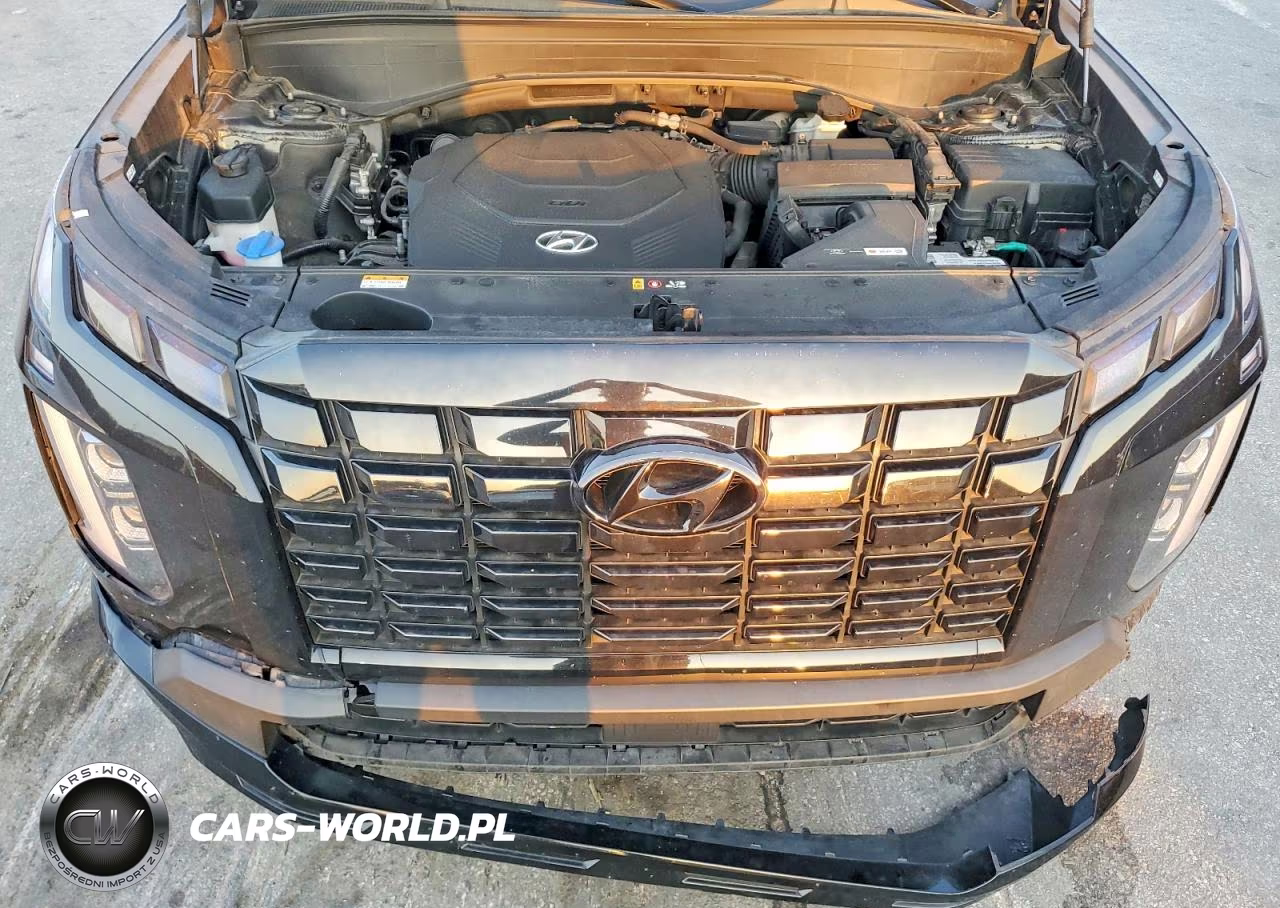 2024 Hyundai Palisade Xrt VIN:KM8R34GE4RU665525 - 12