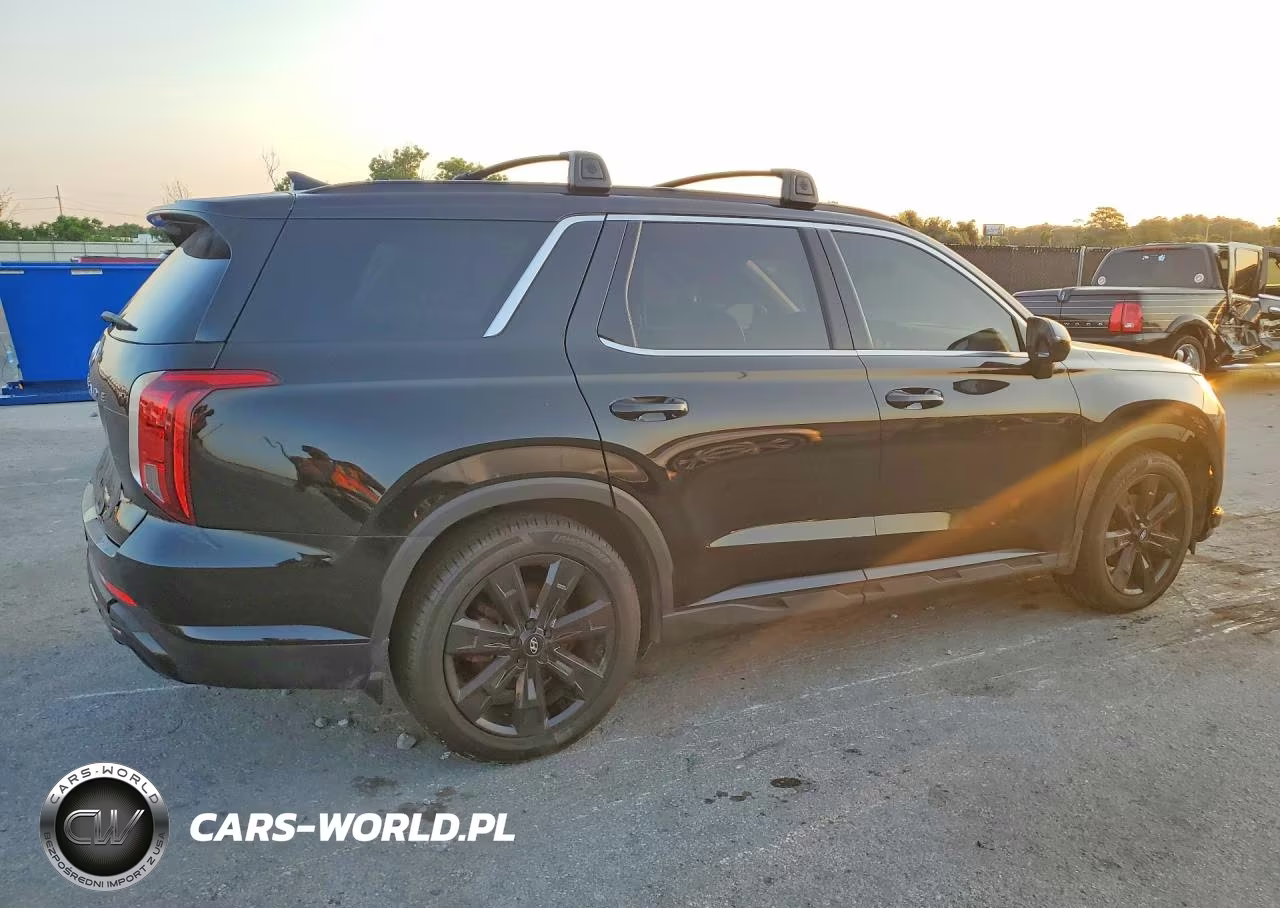 2024 Hyundai Palisade Xrt VIN:KM8R34GE4RU665525 - 3