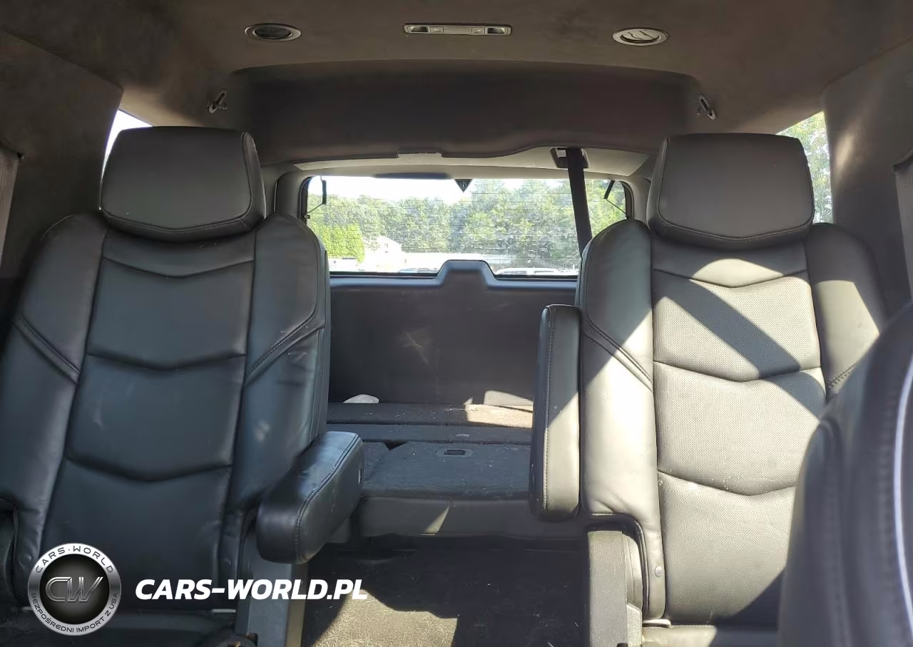 2015 Cadillac Escalade Platinum VIN:1GYS4PKJ2FR735699 - 10