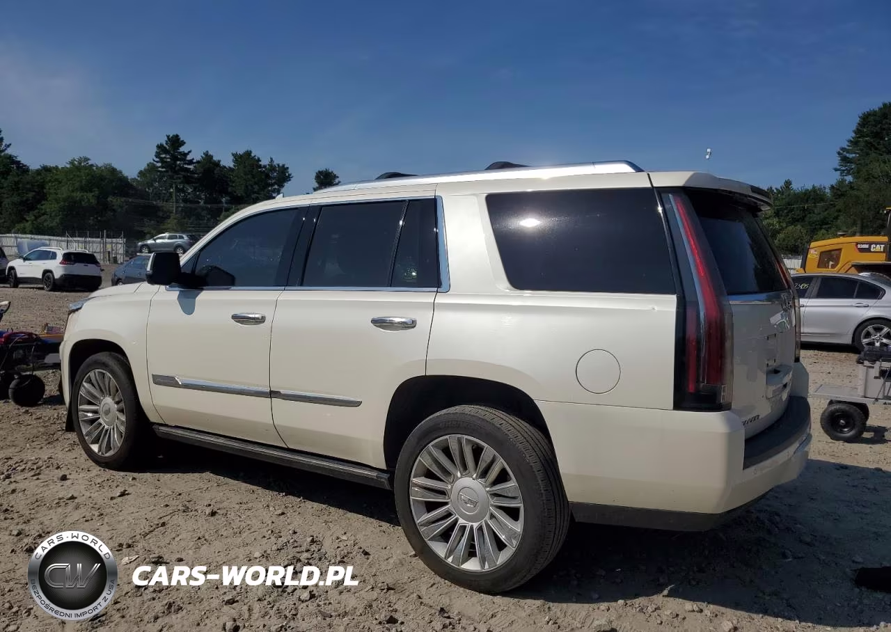 2015 Cadillac Escalade Platinum VIN:1GYS4PKJ2FR735699 - 2