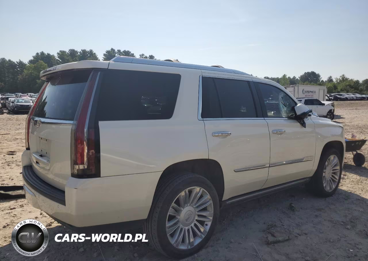 2015 Cadillac Escalade Platinum VIN:1GYS4PKJ2FR735699 - 3