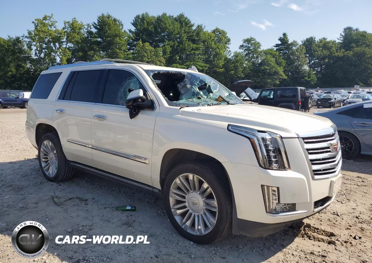 2015 Cadillac Escalade Platinum VIN:1GYS4PKJ2FR735699 - 4