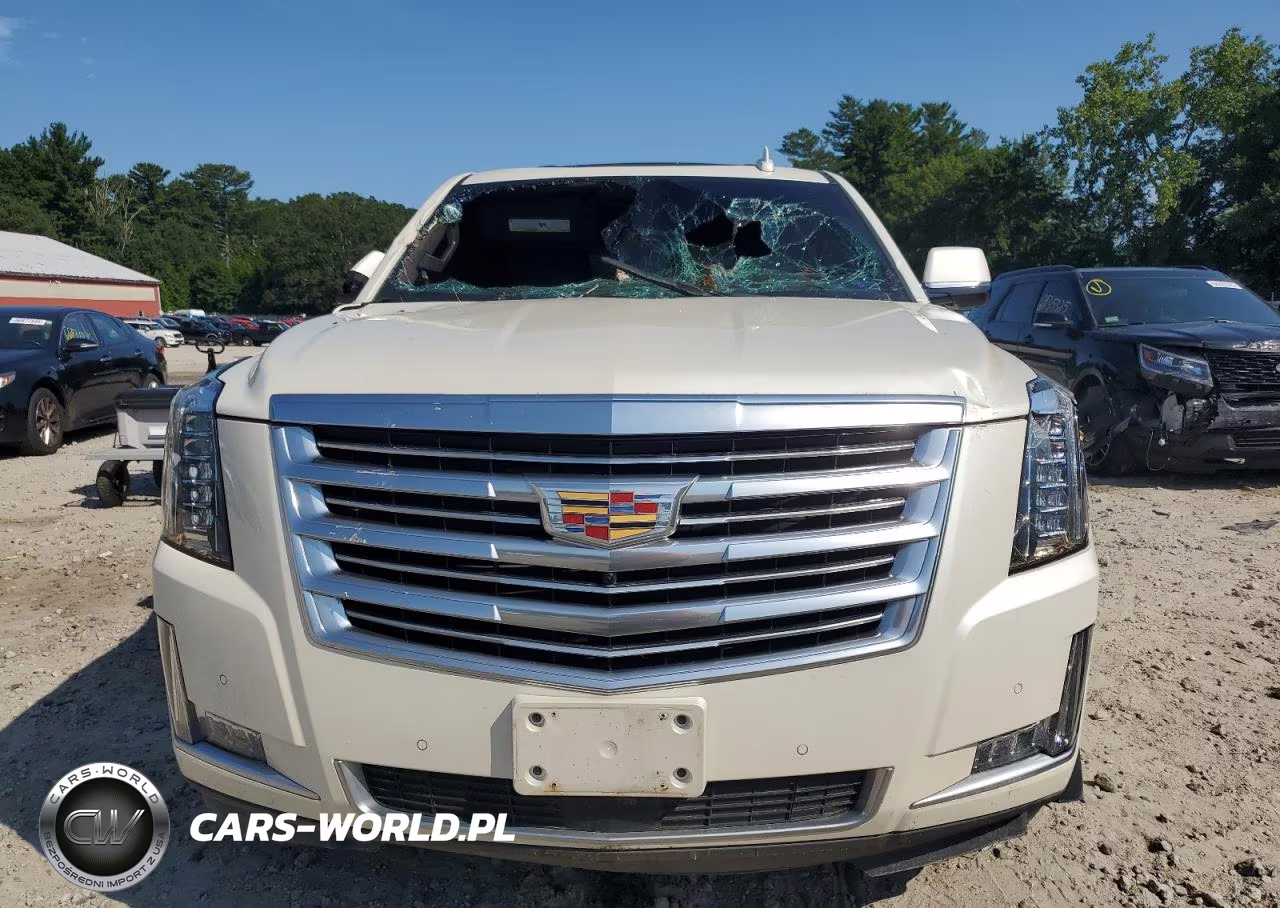 2015 Cadillac Escalade Platinum VIN:1GYS4PKJ2FR735699 - 5
