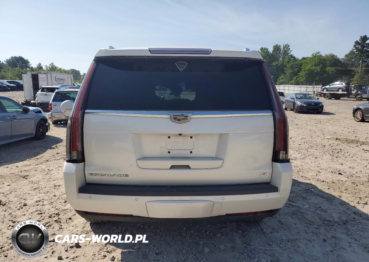 2015 Cadillac Escalade Platinum VIN:1GYS4PKJ2FR735699 - 6