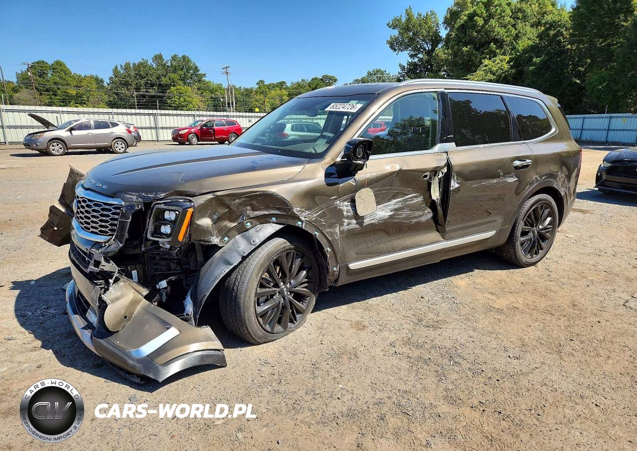 2021 Kia Telluride Sx VIN:5XYP54HC5MG134704 - 1