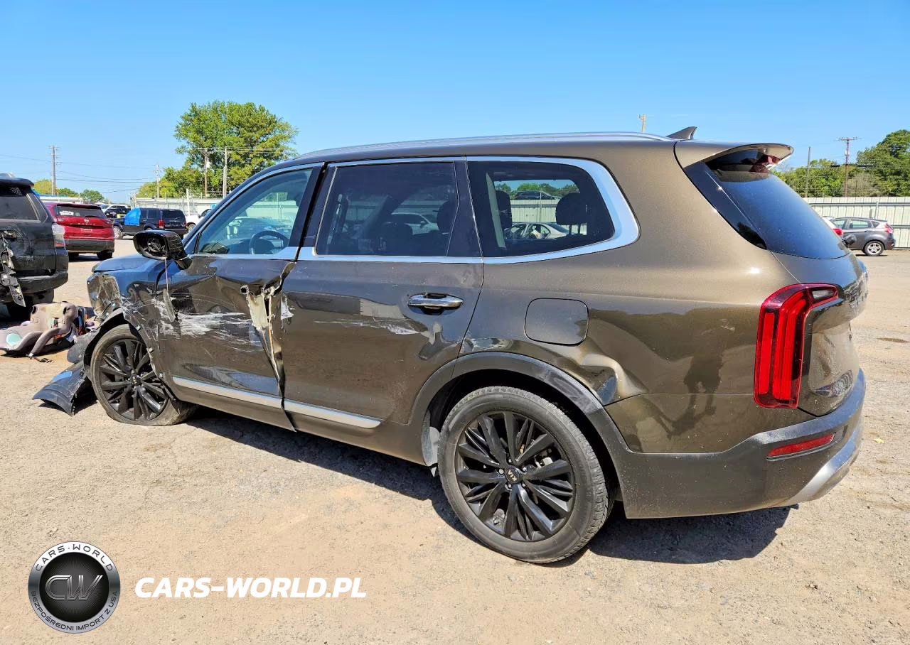 2021 Kia Telluride Sx VIN:5XYP54HC5MG134704 - 2