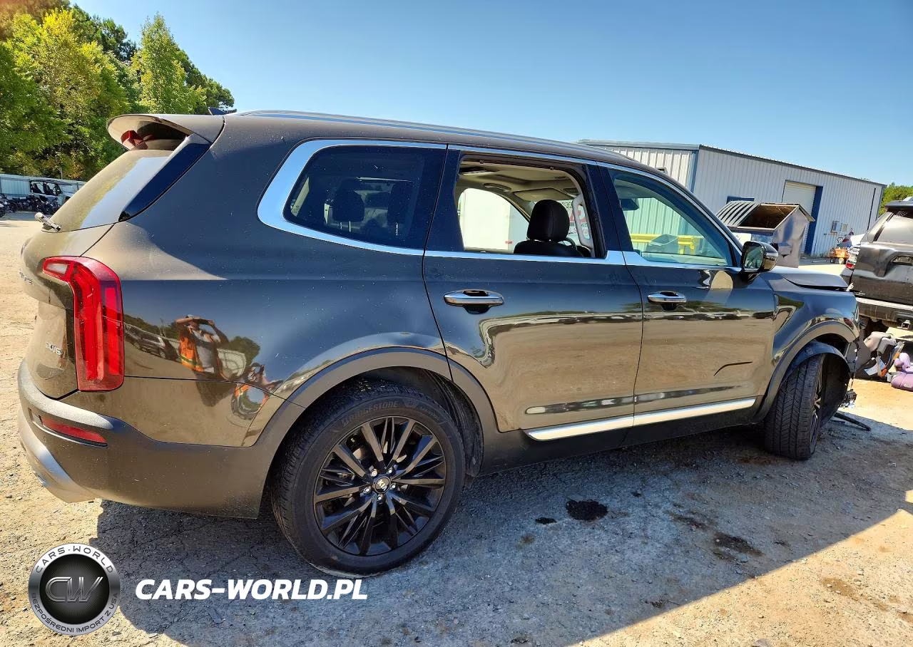 2021 Kia Telluride Sx VIN:5XYP54HC5MG134704 - 3