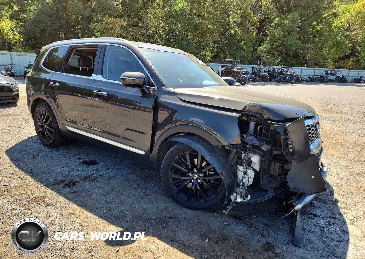 2021 Kia Telluride Sx VIN:5XYP54HC5MG134704 - 4
