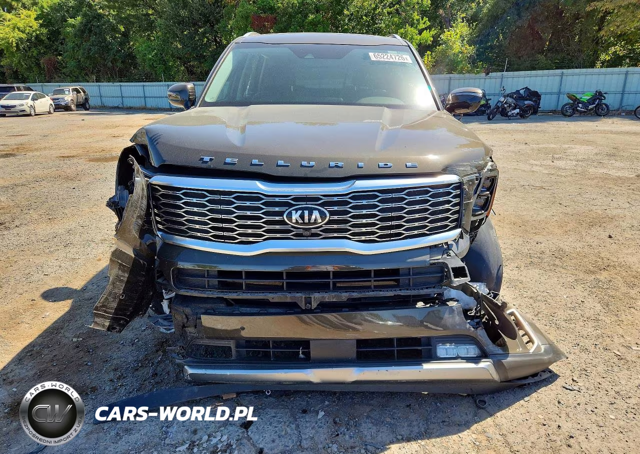 2021 Kia Telluride Sx VIN:5XYP54HC5MG134704 - 5