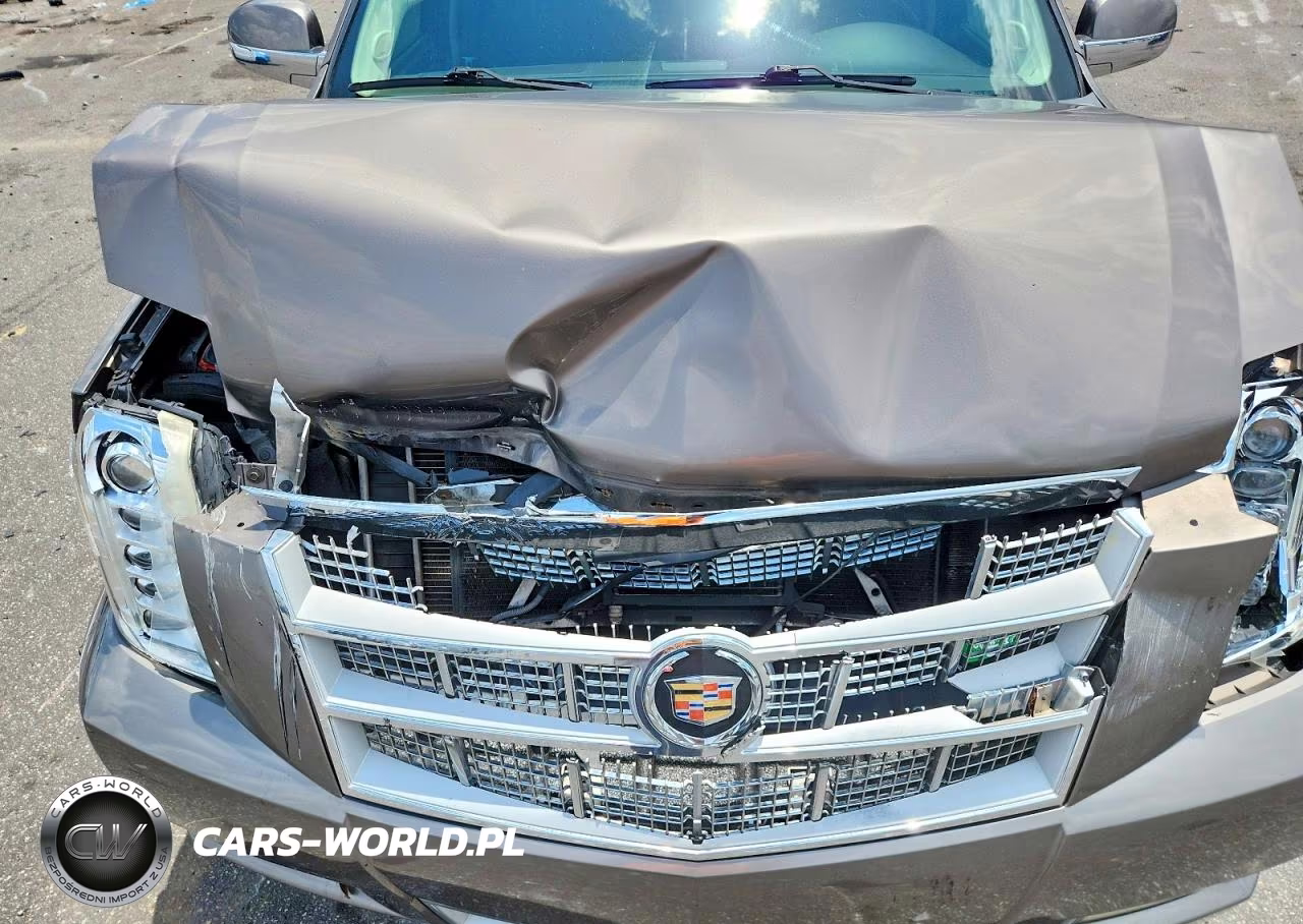 2012 Cadillac Escalade Esv Platinum VIN:1GYS3KEF3CR105764 - 12