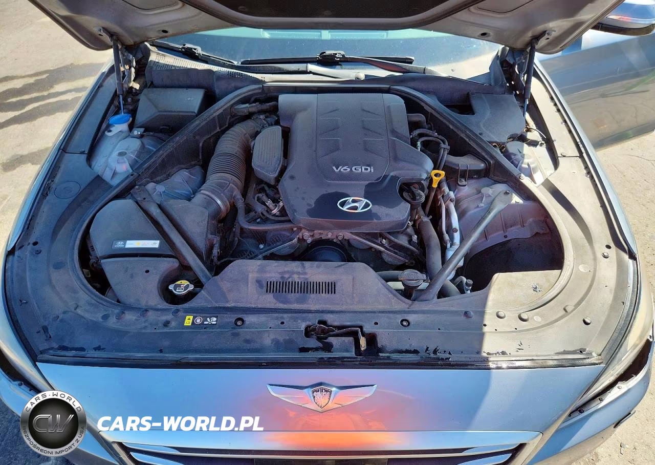 2015 Hyundai Genesis 3.8L VIN:KMHGN4JE8FU073874 - 11