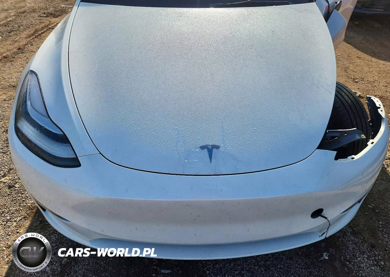 2023 Tesla Model Y VIN:7SAYGDEE9PA082753 - 11