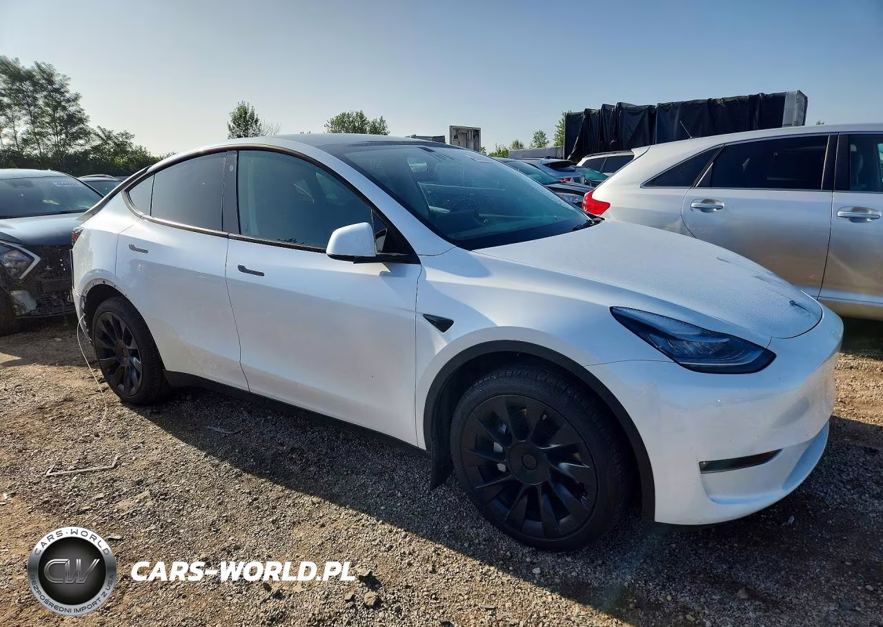 2023 Tesla Model Y VIN:7SAYGDEE9PA082753 - 4