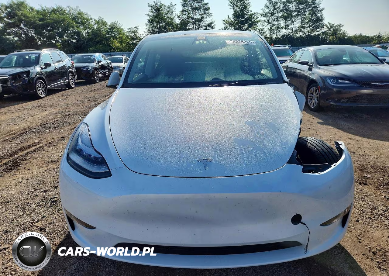 2023 Tesla Model Y VIN:7SAYGDEE9PA082753 - 5