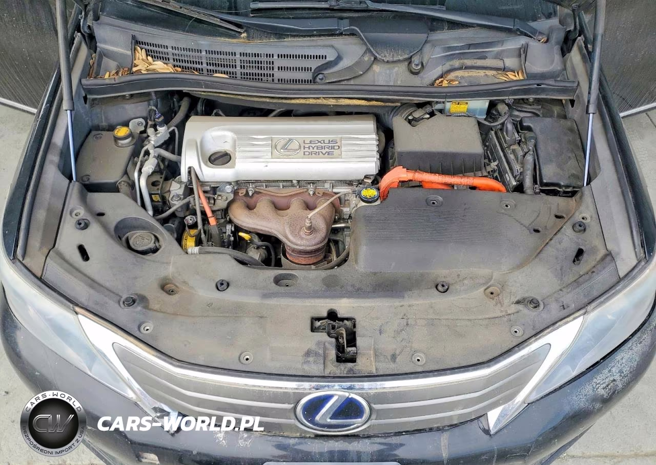 2010 Lexus Hs 250H VIN:JTHBB1BA8A2024811 - 11