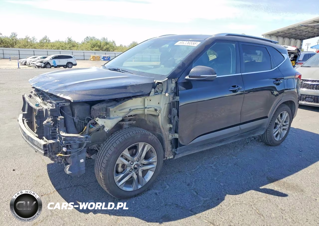 2021 Kia Seltos S VIN:KNDEU2AA2M7141663 - 1