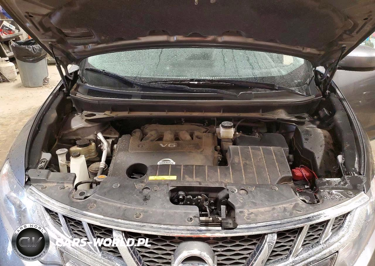 2013 Nissan Murano S VIN:JN8AZ1MW3DW310603 - 12