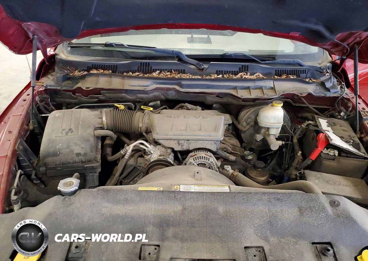 2009 Dodge Ram 1500 VIN:1D3HV18P09S724291 - 11
