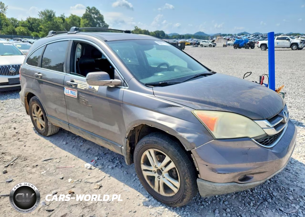 2010 Honda Cr-V Exl VIN:5J6RE4H7XAL046608 - 4