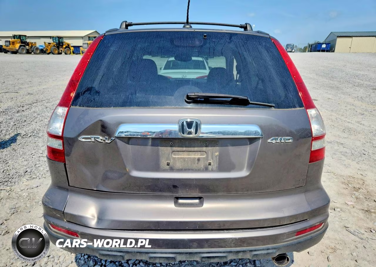 2010 Honda Cr-V Exl VIN:5J6RE4H7XAL046608 - 6