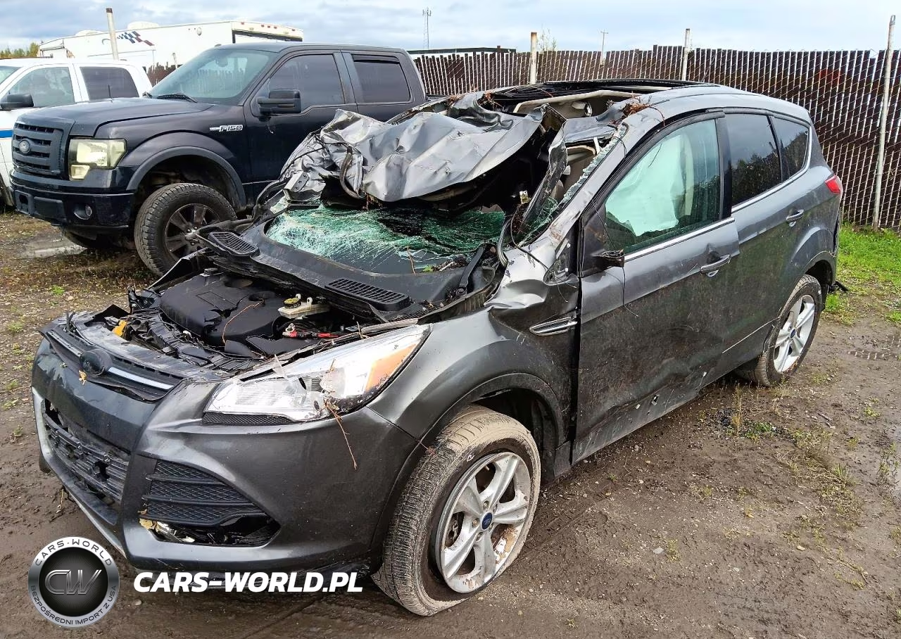2014 Ford Escape Se VIN:1FMCU9G91EUD37959 - 1