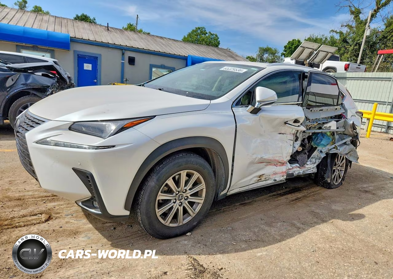 2020 Lexus Nx 300 VIN:JTJDARBZ2L5006966 - 1