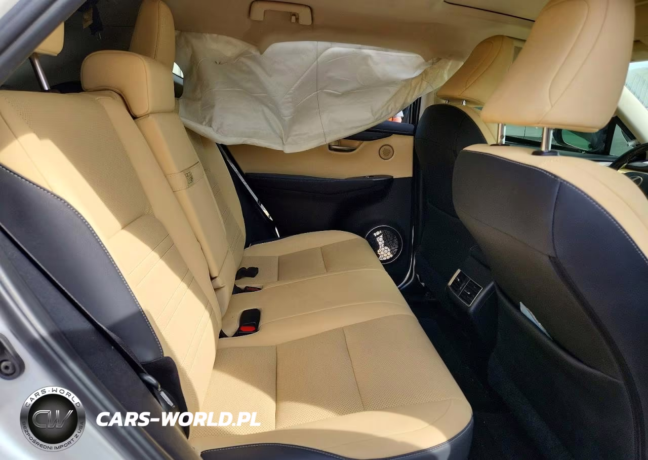 2020 Lexus Nx 300 VIN:JTJDARBZ2L5006966 - 10