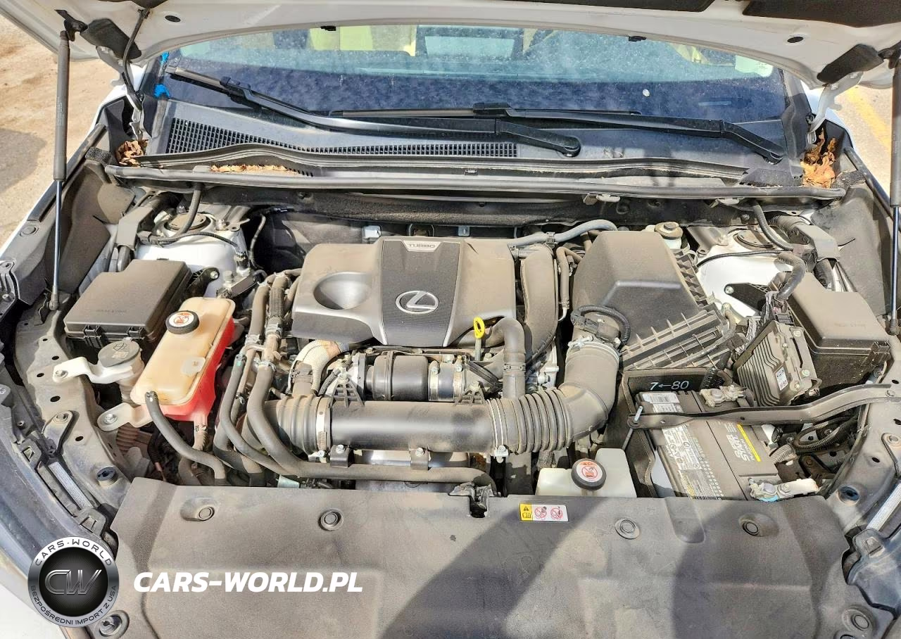 2020 Lexus Nx 300 VIN:JTJDARBZ2L5006966 - 11