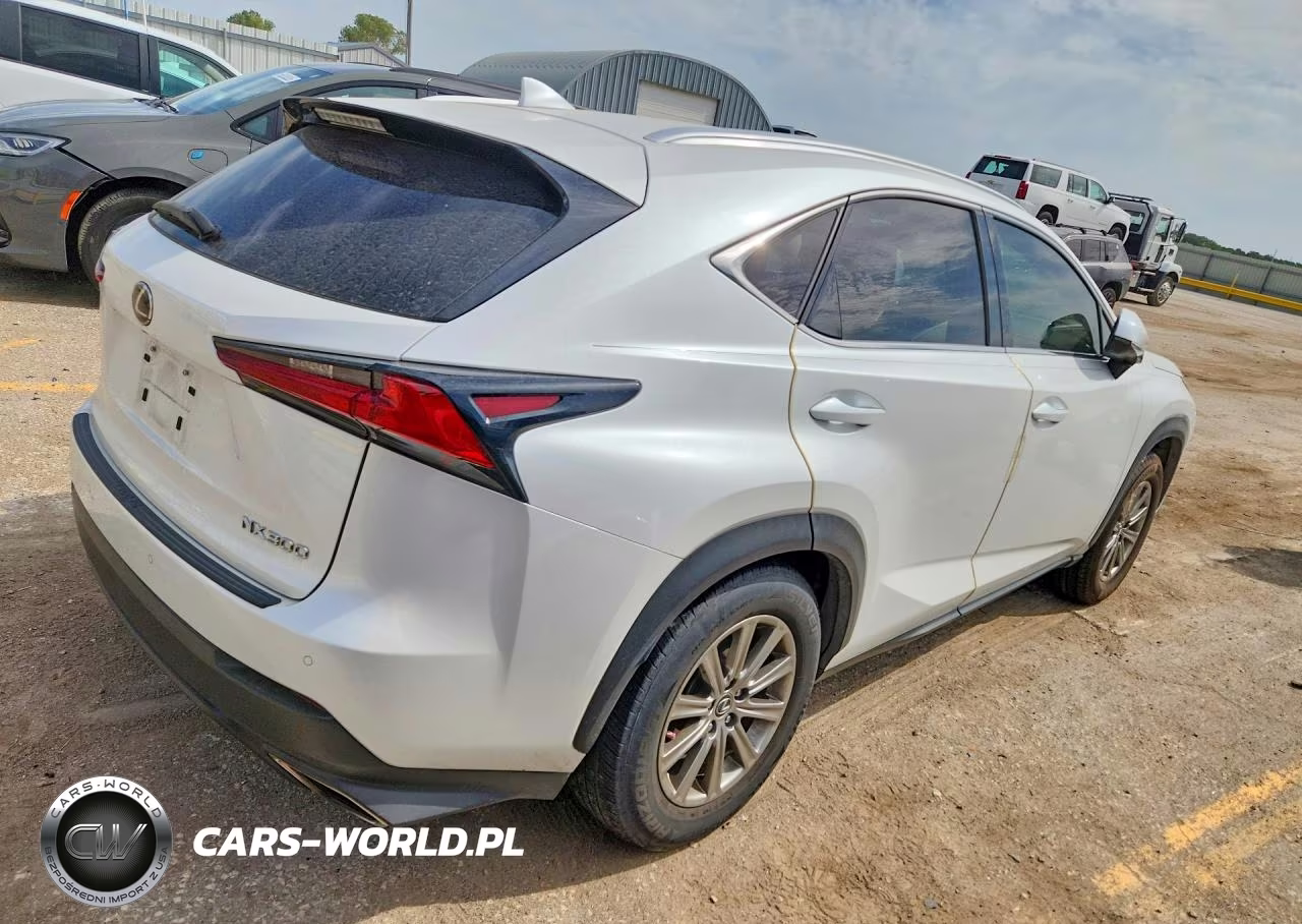 2020 Lexus Nx 300 VIN:JTJDARBZ2L5006966 - 3