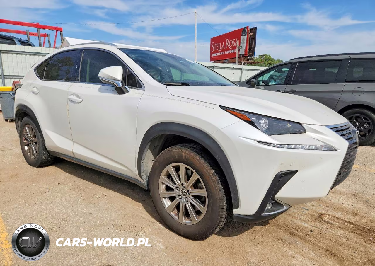 2020 Lexus Nx 300 VIN:JTJDARBZ2L5006966 - 4