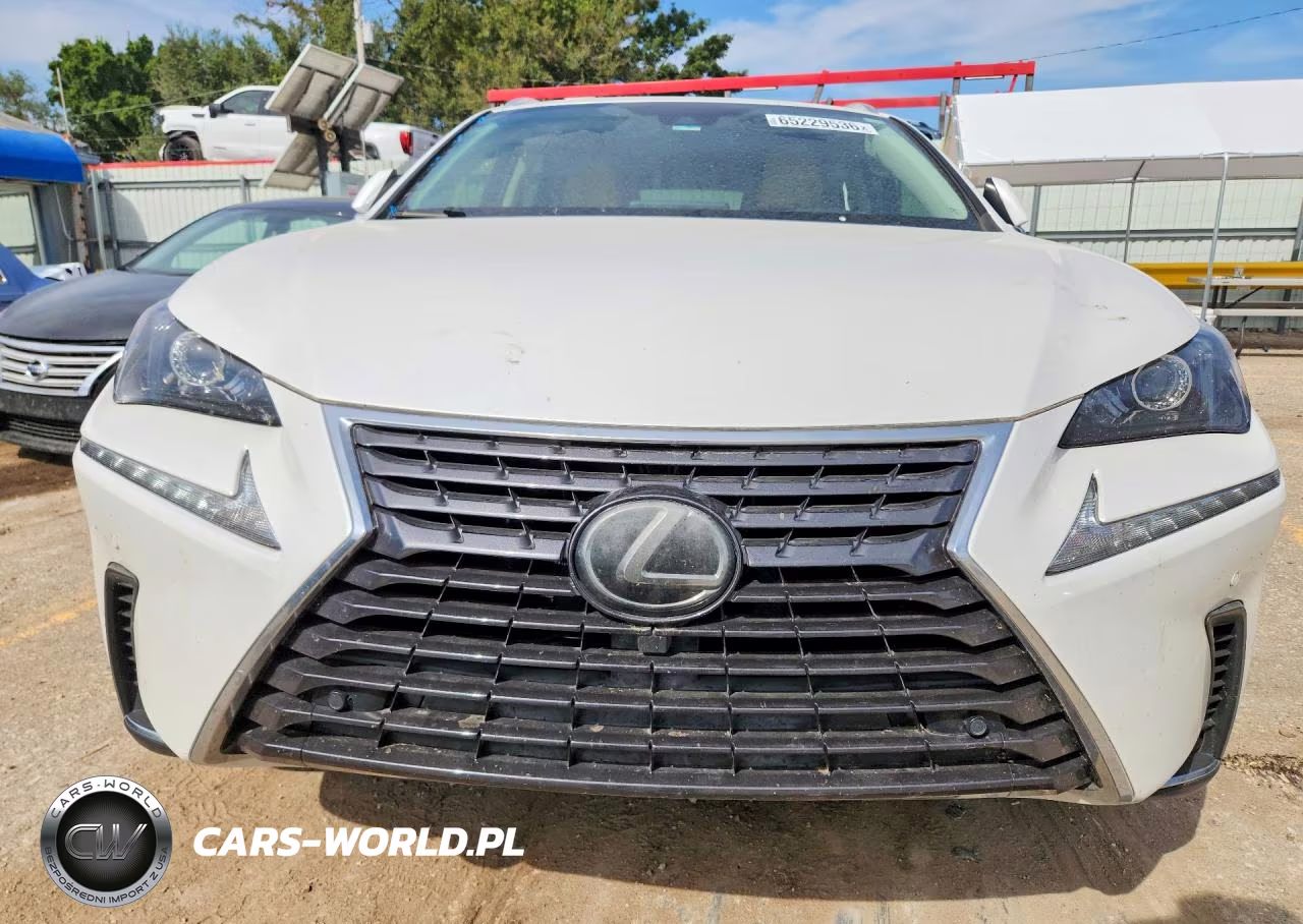 2020 Lexus Nx 300 VIN:JTJDARBZ2L5006966 - 5