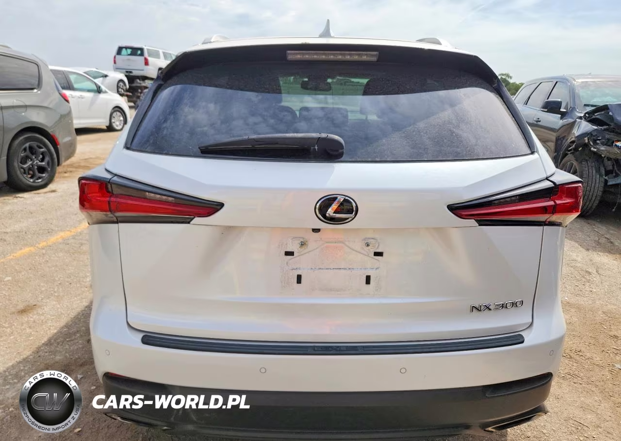 2020 Lexus Nx 300 VIN:JTJDARBZ2L5006966 - 6