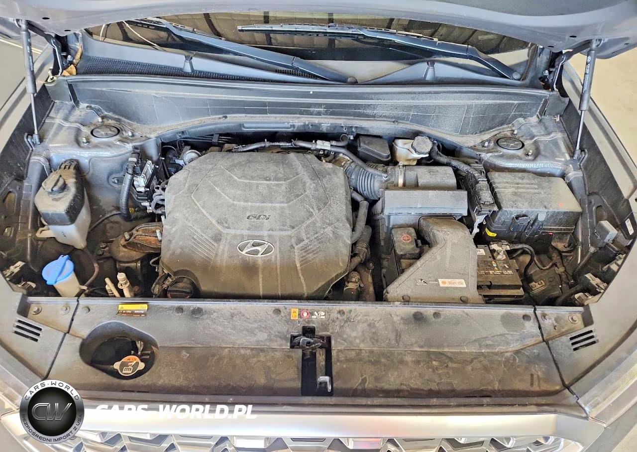 2020 Hyundai Palisade Sel VIN:KM8R4DHE0LU169396 - 12