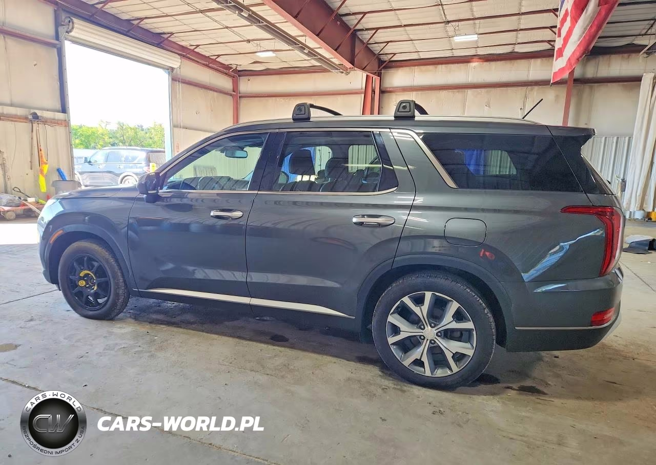 2020 Hyundai Palisade Sel VIN:KM8R4DHE0LU169396 - 2