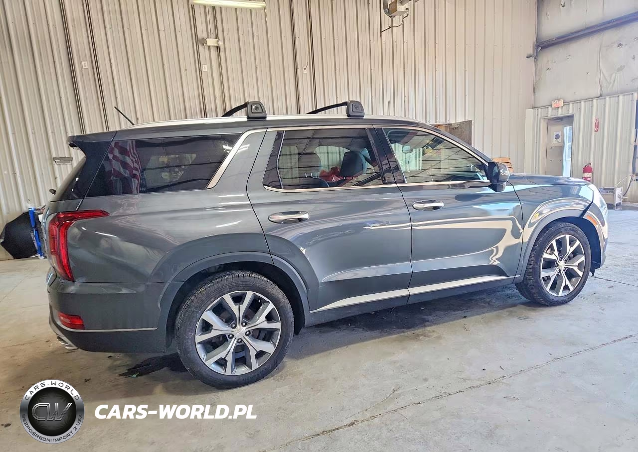 2020 Hyundai Palisade Sel VIN:KM8R4DHE0LU169396 - 3