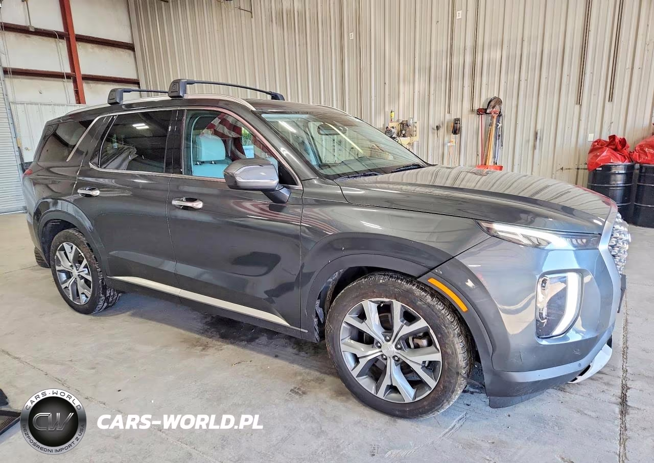 2020 Hyundai Palisade Sel VIN:KM8R4DHE0LU169396 - 4