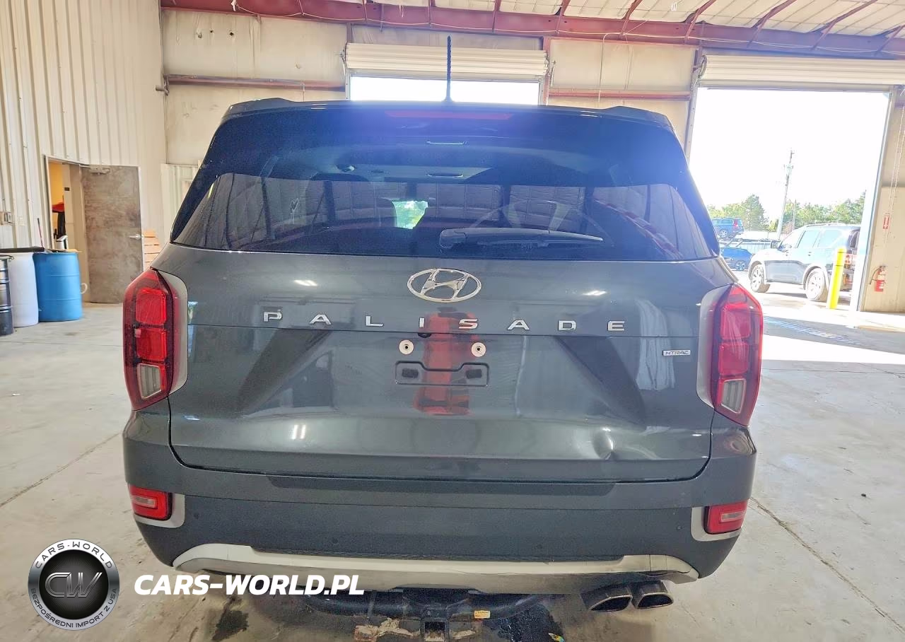 2020 Hyundai Palisade Sel VIN:KM8R4DHE0LU169396 - 6