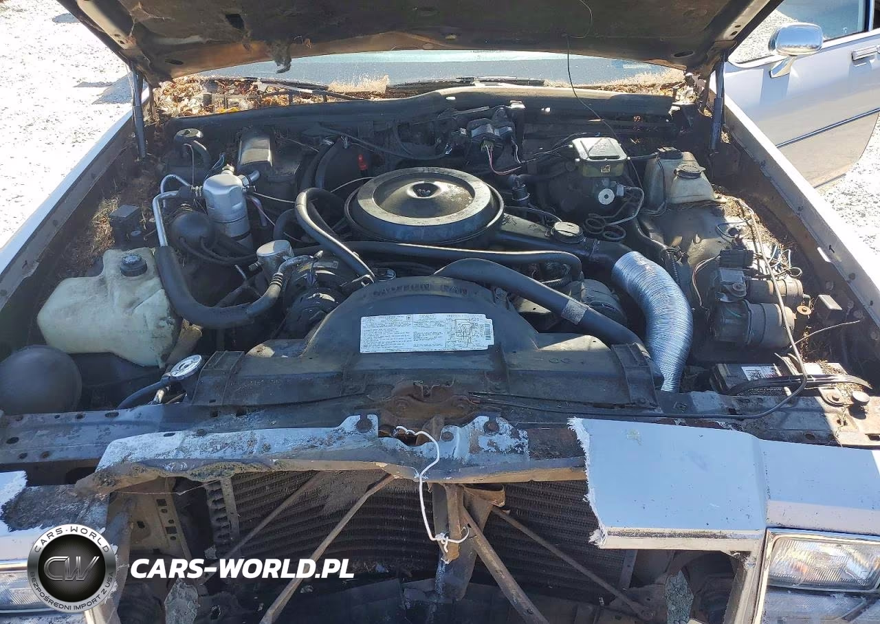 1987 Buick Lesabre Estate VIN:1G4BR81Y8HX404342 - 12