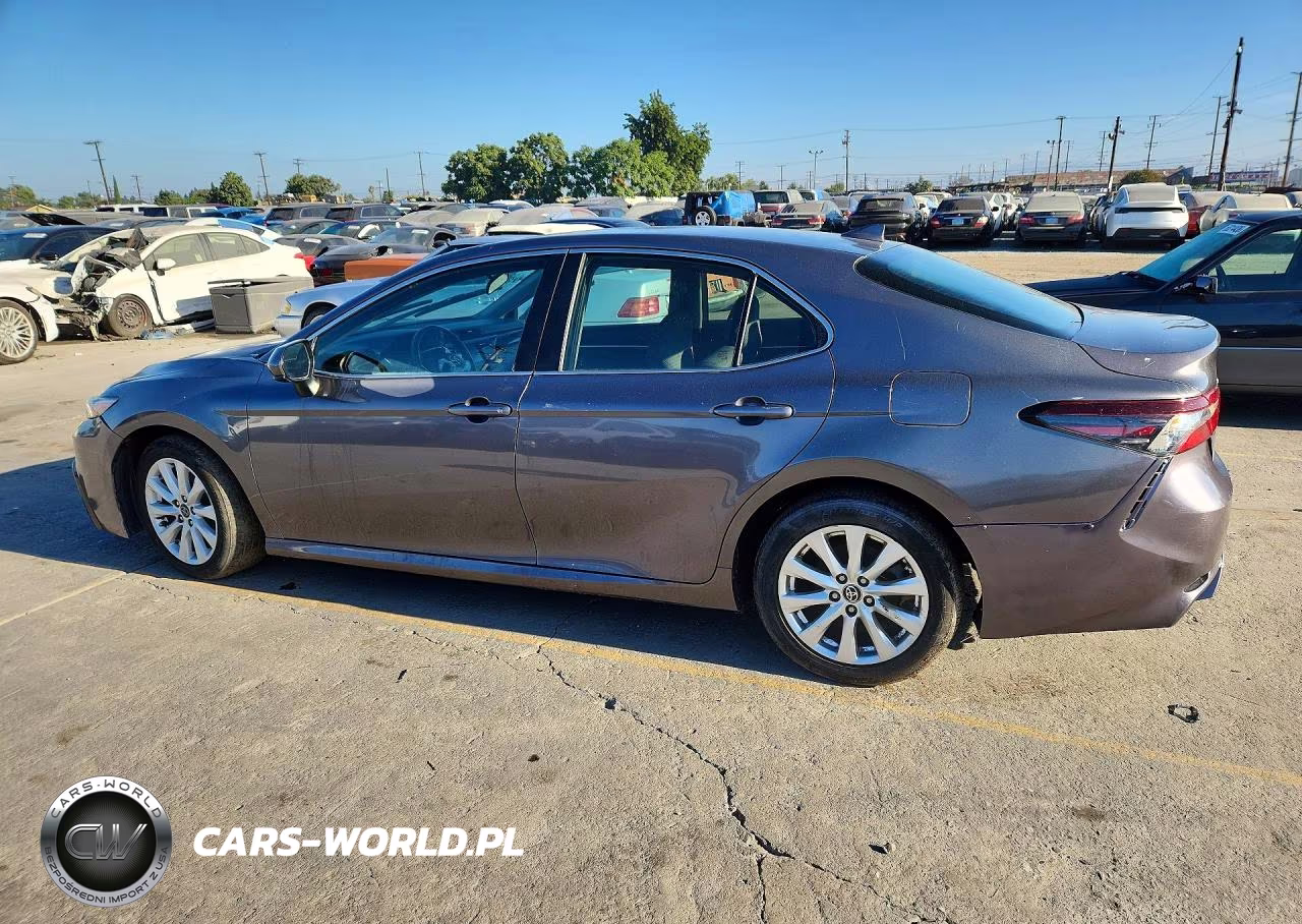 2019 Toyota Camry Le VIN:4T1B11HK1KU708900 - 2