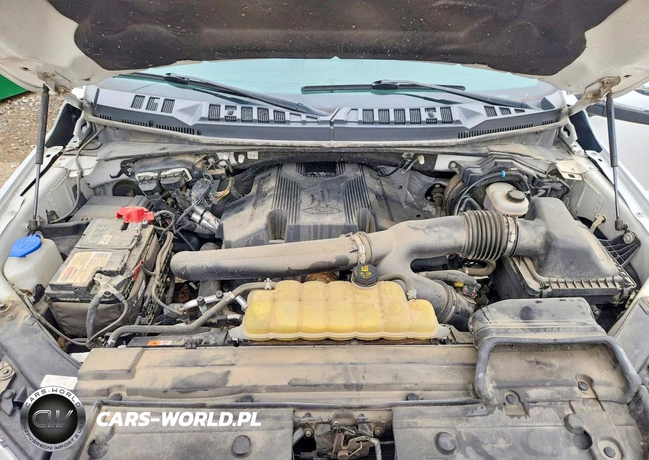 2019 Ford F150 Supercrew VIN:1FTEW1E45KKD91448 - 11