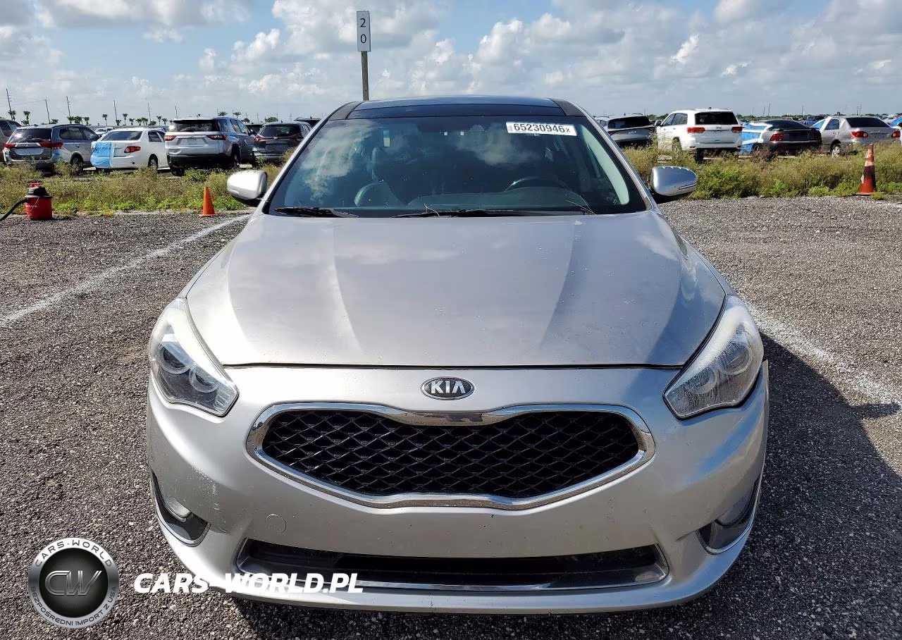 2014 Kia Cadenza Premium VIN:KNALN4D73E5130181 - 5