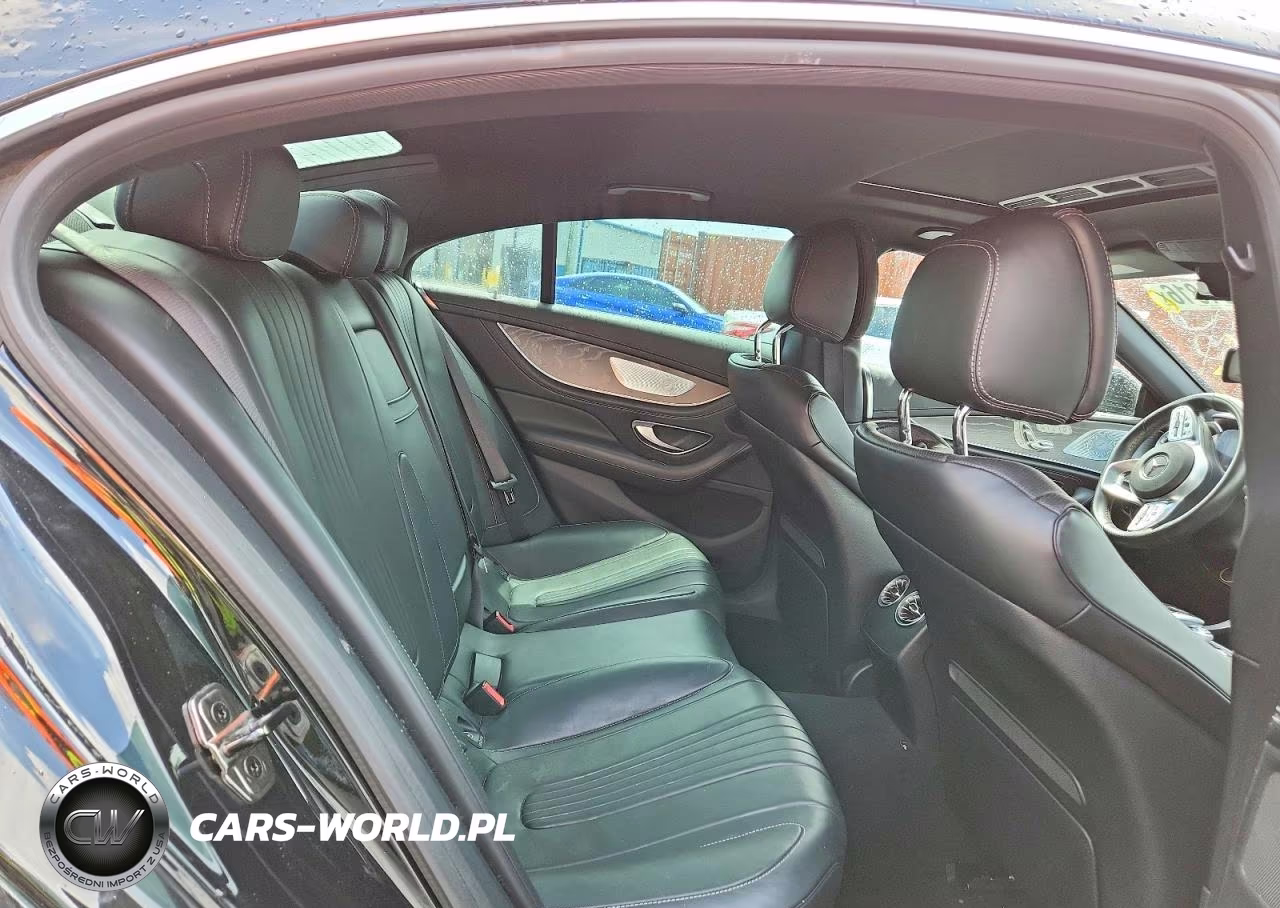 2019 Mercedes-Benz Cls 450 VIN:WDD2J5JB7KA031123 - 10