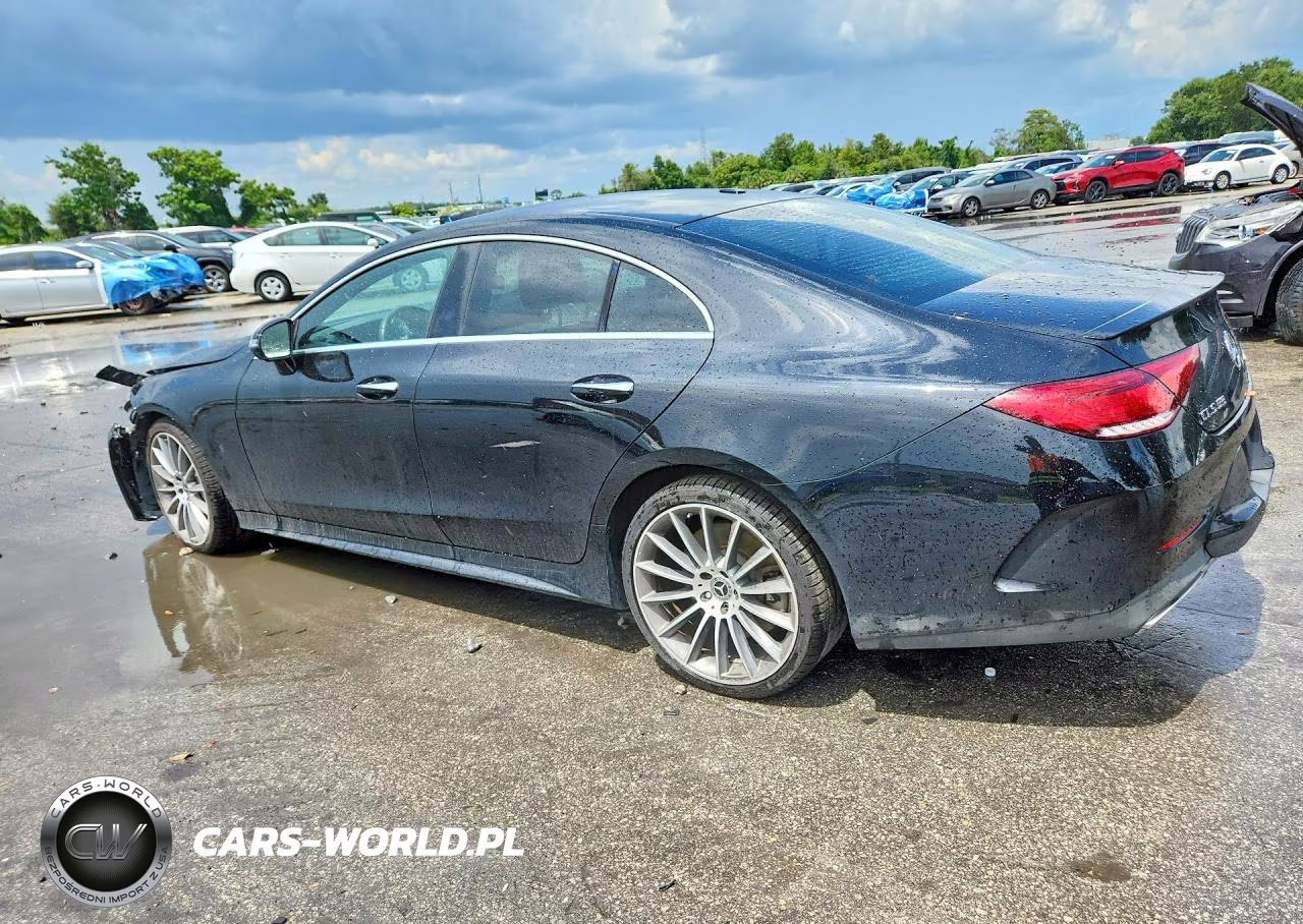 2019 Mercedes-Benz Cls 450 VIN:WDD2J5JB7KA031123 - 2