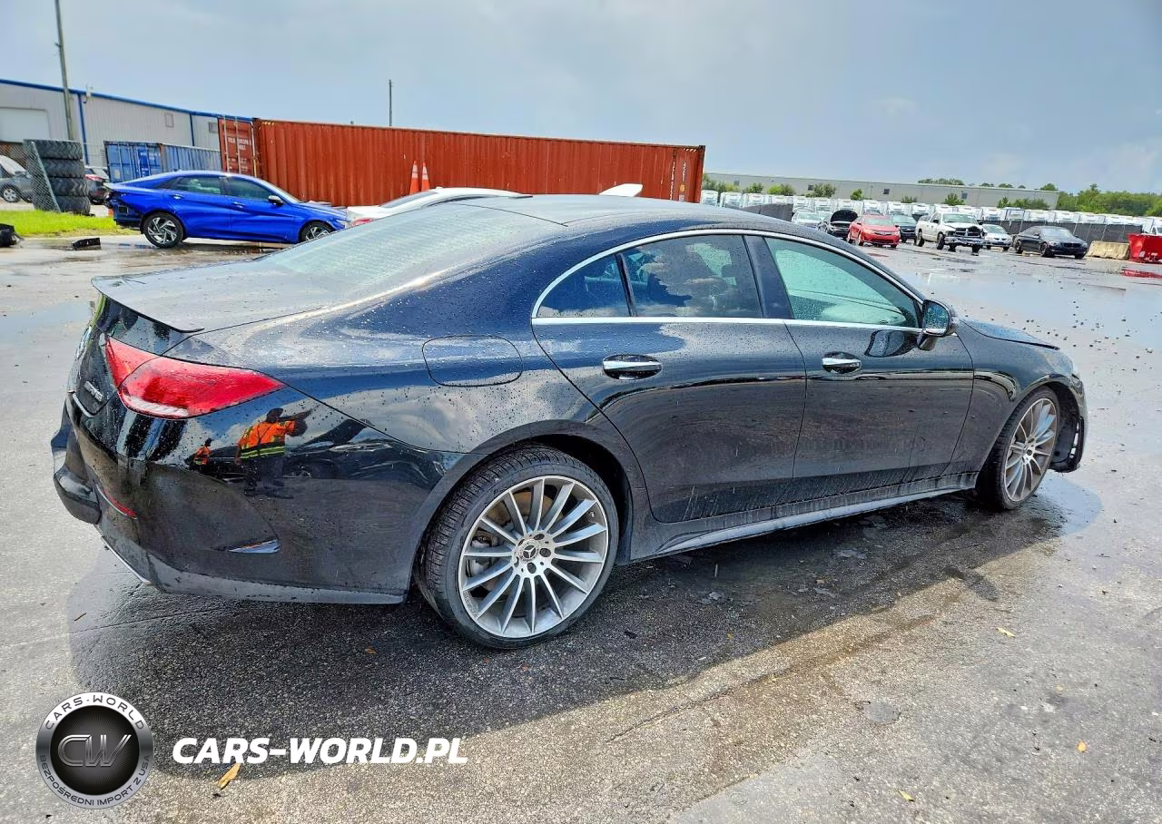2019 Mercedes-Benz Cls 450 VIN:WDD2J5JB7KA031123 - 3