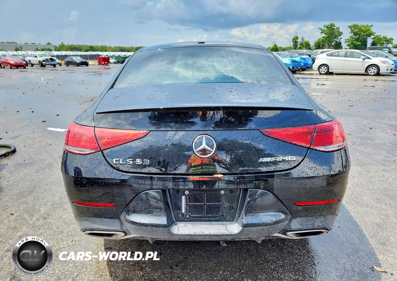 2019 Mercedes-Benz Cls 450 VIN:WDD2J5JB7KA031123 - 6