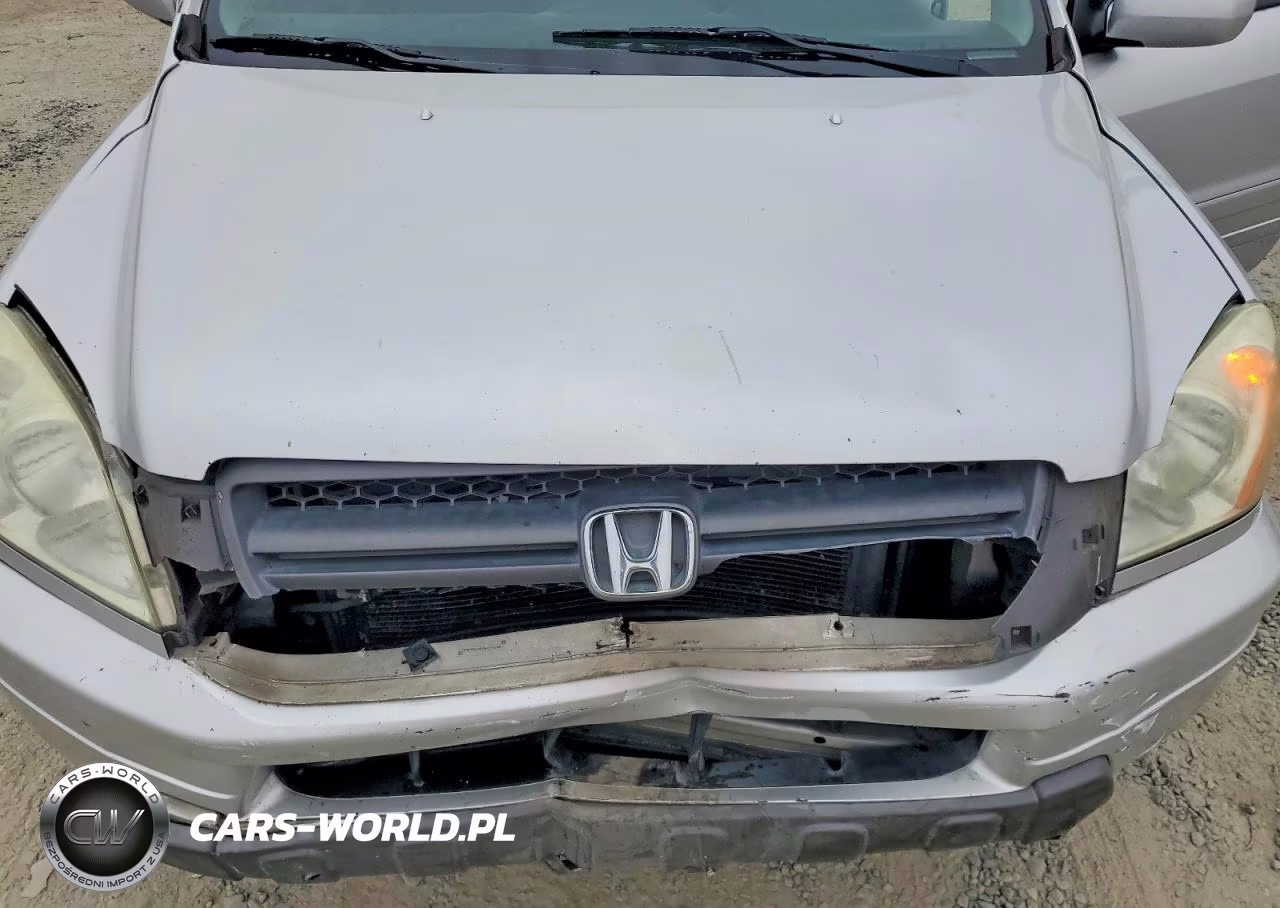 2005 Honda Pilot Ex VIN:2HKYF18415H554298 - 12