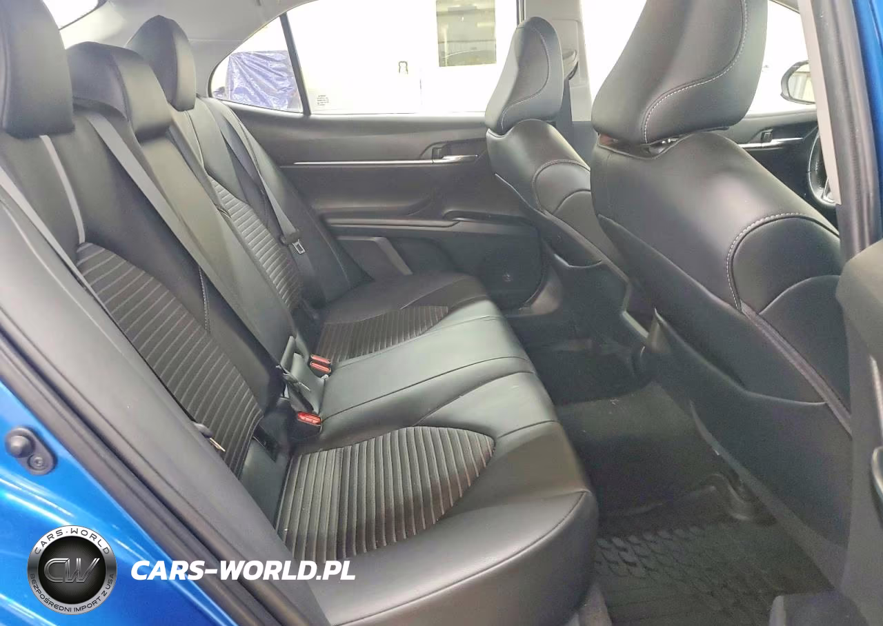 2020 Toyota Camry Se VIN:4T1G11AK1LU316873 - 10