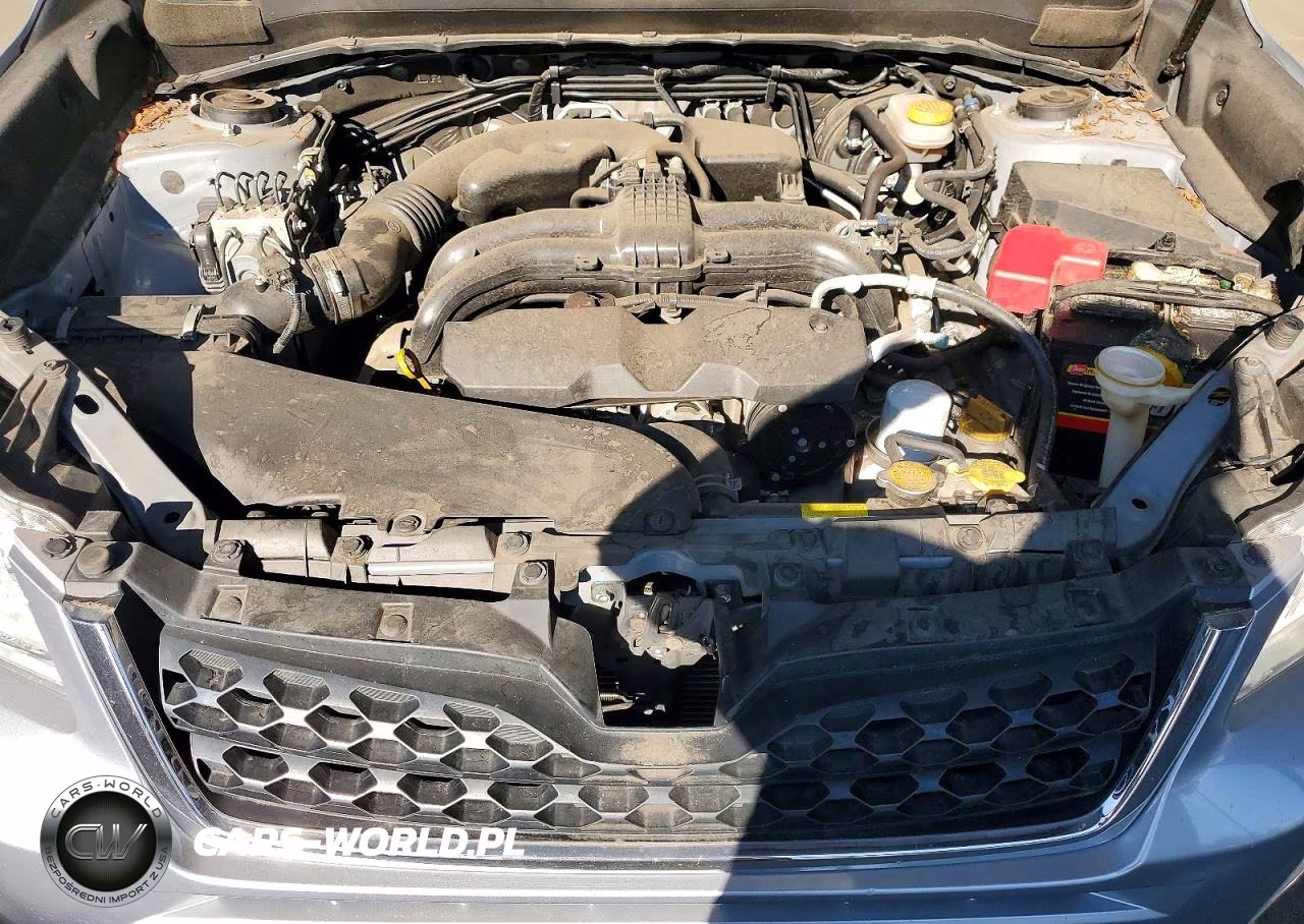 2015 Subaru Forester 2.5I VIN:JF2SJAUC9FH409674 - 11